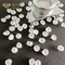 O laboratório do CVD HPHT criou pedras sem cortes frouxamente Diamond Square Shape natural dos diamantes