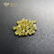 Laboratório amarelo intenso extravagante diamantes coloridos crescidos HPHT 1ct a 7ct